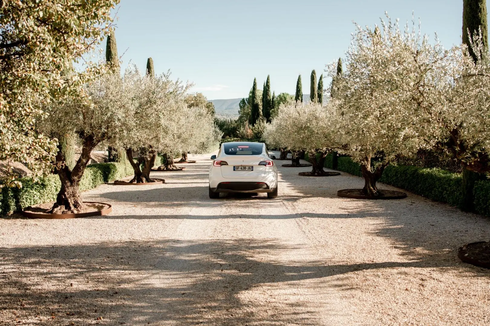 Allée bordée d’oliviers menant à une propriété provençale gérée par la Conciergerie Pirotte – Luberon.