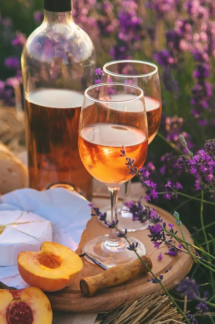 Dégustation de vin en Provence dans le sud de la France.