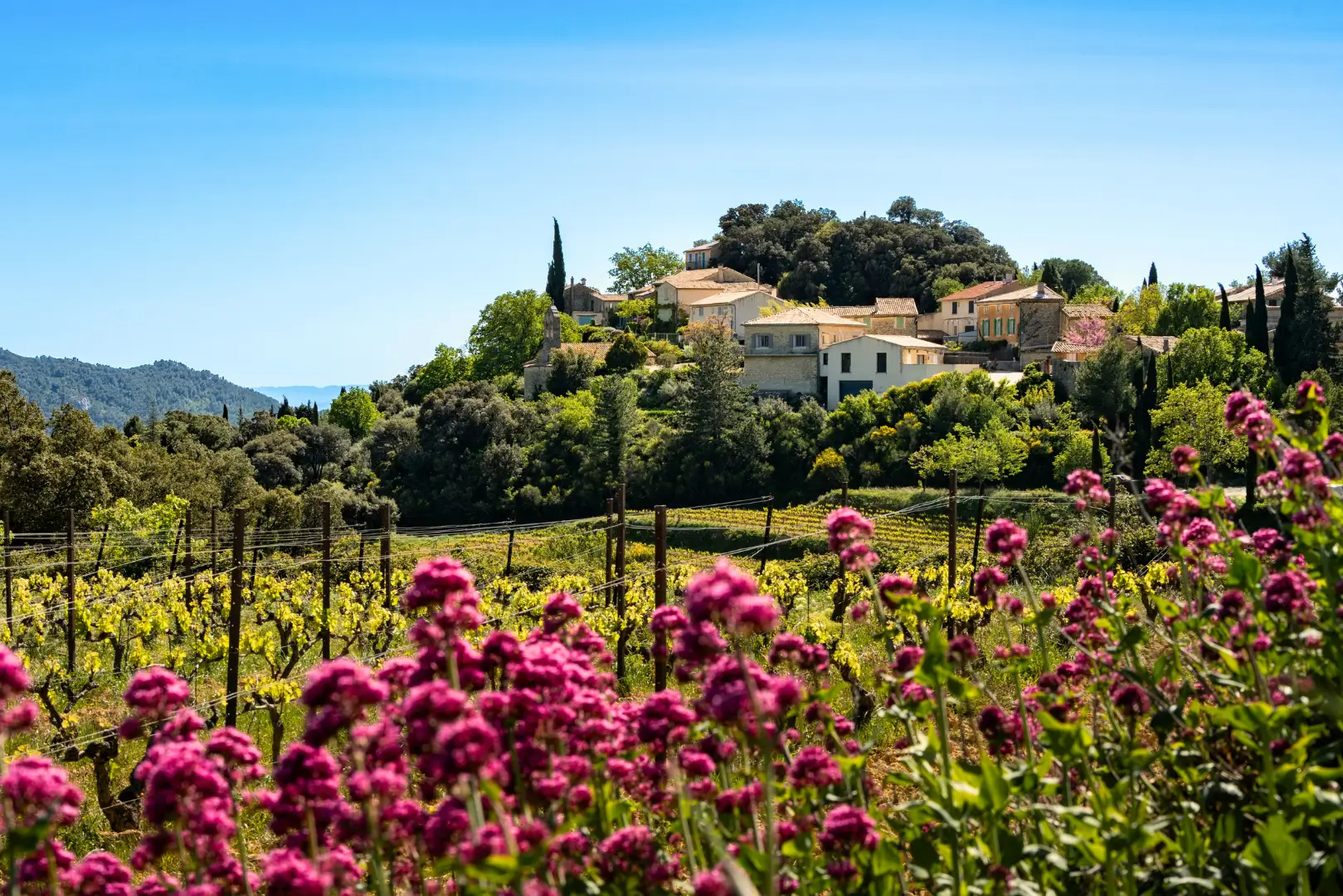 Paysage du Luberon avec village perché, vignobles et nature provençale