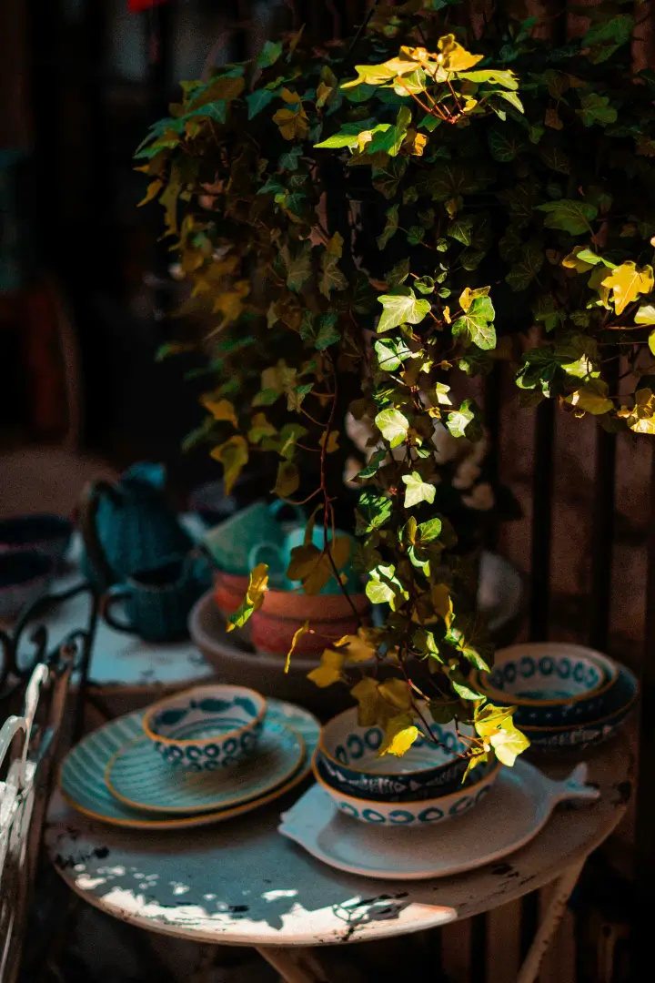 Ambiance intimiste dans le Luberon