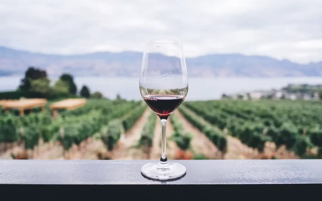 Wine Estates in the Luberon: Our Selection