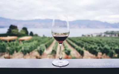 Domaines viticoles dans le Luberon : notre sélection