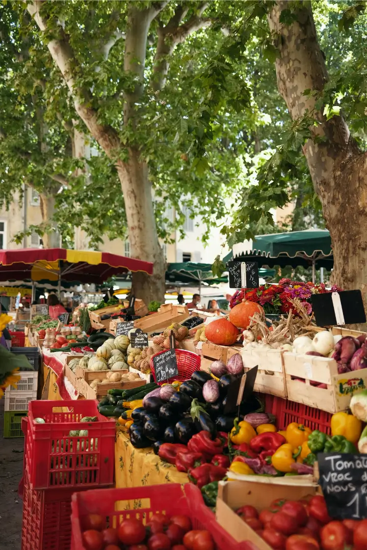 Étal coloré de fruits et légumes de saison sous les platanes d'un marché de village dans le Luberon.